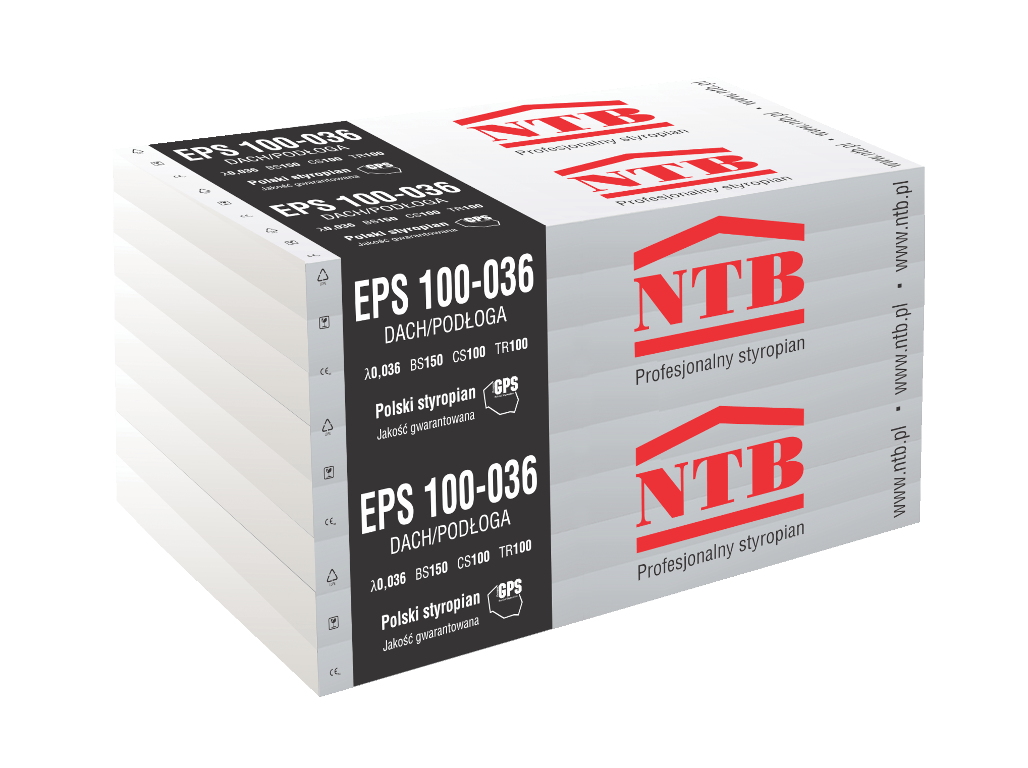 NTB EPS 100-036