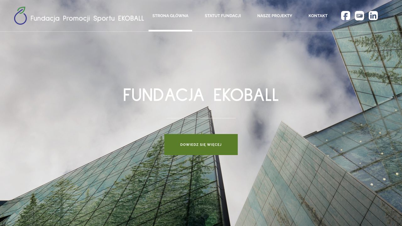 Fundacja EKOBALL — widok realizacji