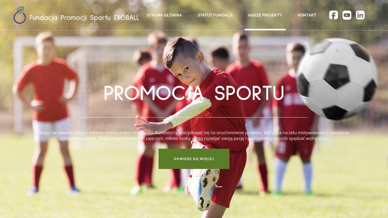 Projekt Promocja sportu