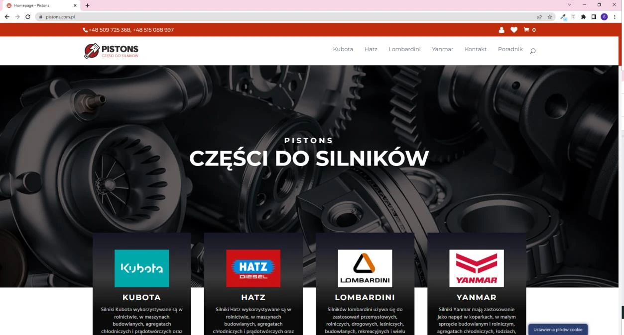 PISTONS — Strona główna — wdrożenie 2022