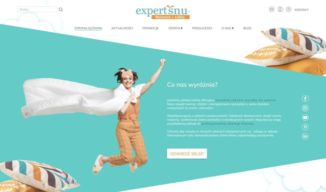Ekspert Snu — Preserved graphic design, shown at a larger scale.